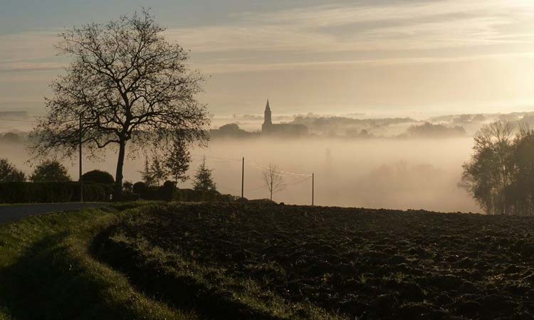 Cadalen dans la brume